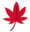 kouyou_momiji.png